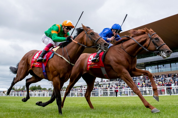 Equine Track